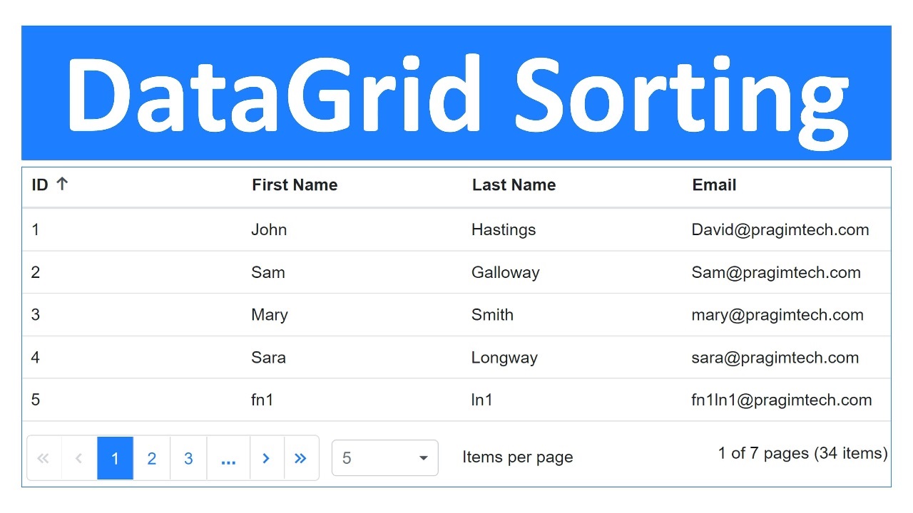 ASP.NET Core 5 DataGrid Sorting